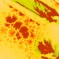 New paper on the protein corona formation on bioconjugated gold nanoparticles