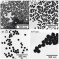 New Paper on the Study of the Localized Multipolar Surface Plasmon Resonances of Silver Nanoparticles Published in Langmuir.